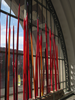 p53.jpg