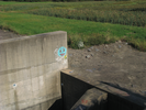 p112.jpg