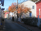 p42.jpg