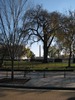 p01.jpg