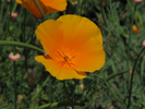 p059.jpg