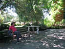 p138.jpg