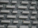 p463.jpg