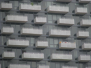 p465.jpg