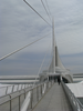 p015.jpg