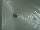 p043.jpg