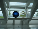 p065.jpg