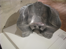 p282.jpg