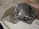 p288.jpg