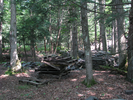 p084.jpg