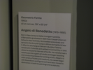 p322.jpg