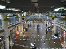 p61.jpg