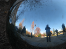 p081.jpg