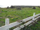 p003.jpg