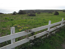 p008.jpg