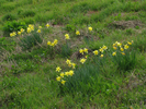 p014.jpg