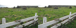 r003.jpg