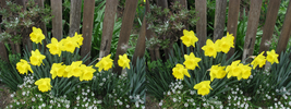 r048.jpg