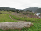 p08.jpg