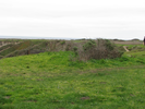 p17.jpg
