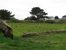 p20.jpg