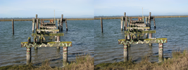 r064.jpg