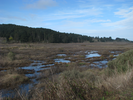 p009.jpg