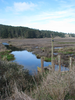 p011.jpg