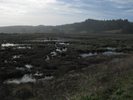p044.jpg