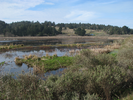 p068.jpg