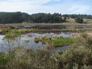 p071.jpg