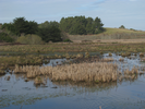p086.jpg