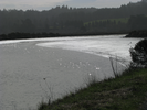 p135.jpg