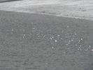 p138.jpg