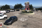 coit_doggie.jpg