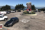 coit_doggie3.jpg