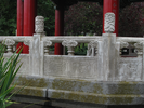p57.jpg