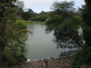 p68.jpg