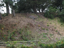 p81.jpg