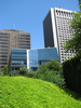 p009.jpg