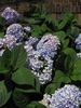 p06.jpg