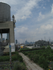 p10.jpg