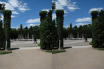 r017.jpg
