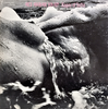 jacket_1.jpg