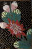 p314a.png