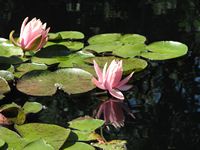 tn_p077.jpg