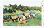 p469a.png