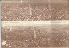p24.jpg
