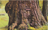 pu27.png