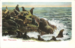 weidner_039a.png